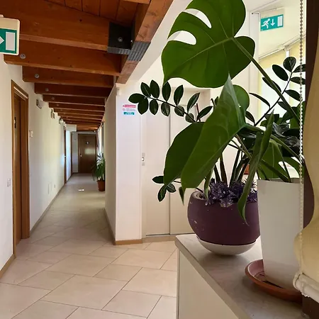 Solaria House Con Cucina Gæstehus